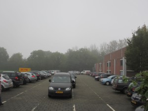 IMG_6147 (Large)